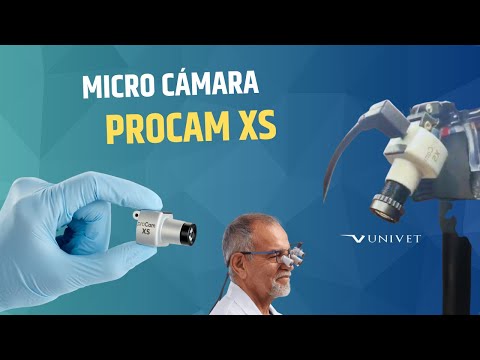 Micro cámara proCam XS