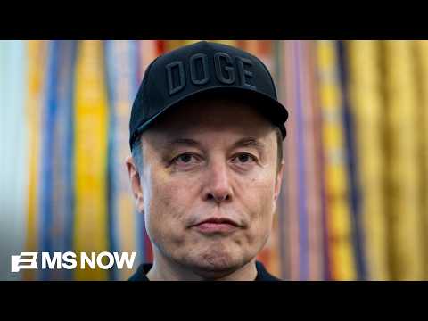 'So authoritarian and un-American': DOGE is over but its devastating impact remains