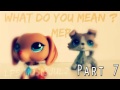 LPS: What do you mean MEP 