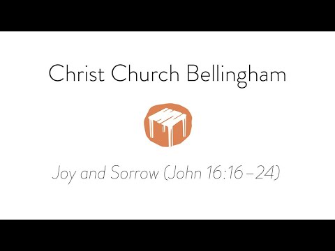 Sorrow and Joy (John 16:16–24)