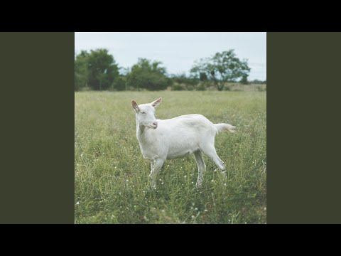 Hajnali 4 a Király utcában (Remix)