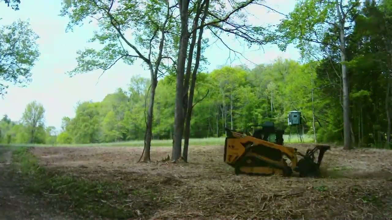 Forestry Mulching Time Lapse