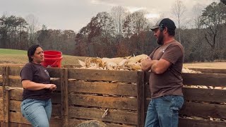 Startin’ to Learn || Old Equipment, Slow Work and a Good Harvest || November 2025