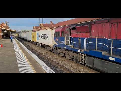 8148 with VL354 Leading