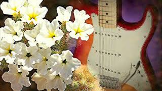 BACKING TRACK-THE SHADOWS-ATLANTIS