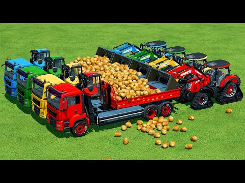 LOAD AND TRANSPORT POTATOES WITH MCCORMICK TRACTORS - Farming Simulator 22