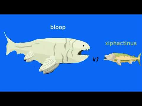 Sea animal tournament 