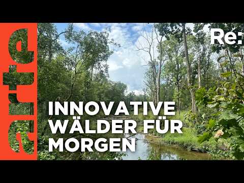 Video Thumbnail: Jeder Baum zählt | ARTE Re: