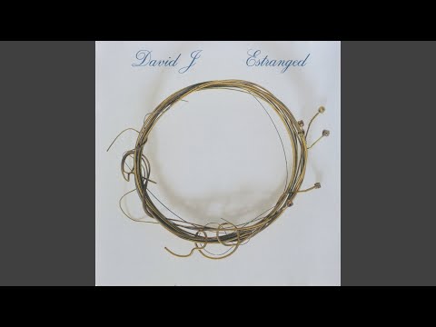 If Anything Should Ever Happen to You