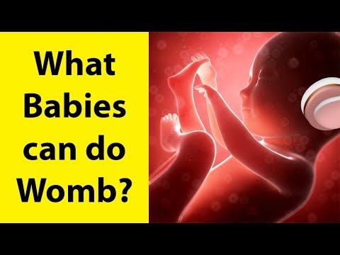 11 Things Unborn Babies Can Do in the Womb