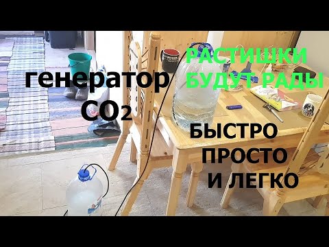 Самый простой генератор co2 для растений