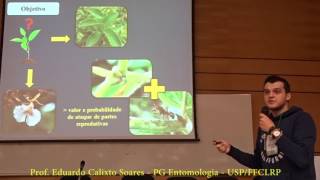 Defesa ótima versus Defesa Induzida: Eduardo Calixto Soares - USP/UFU