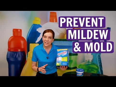 DampRid Product Review Prevent Mildew & Mold