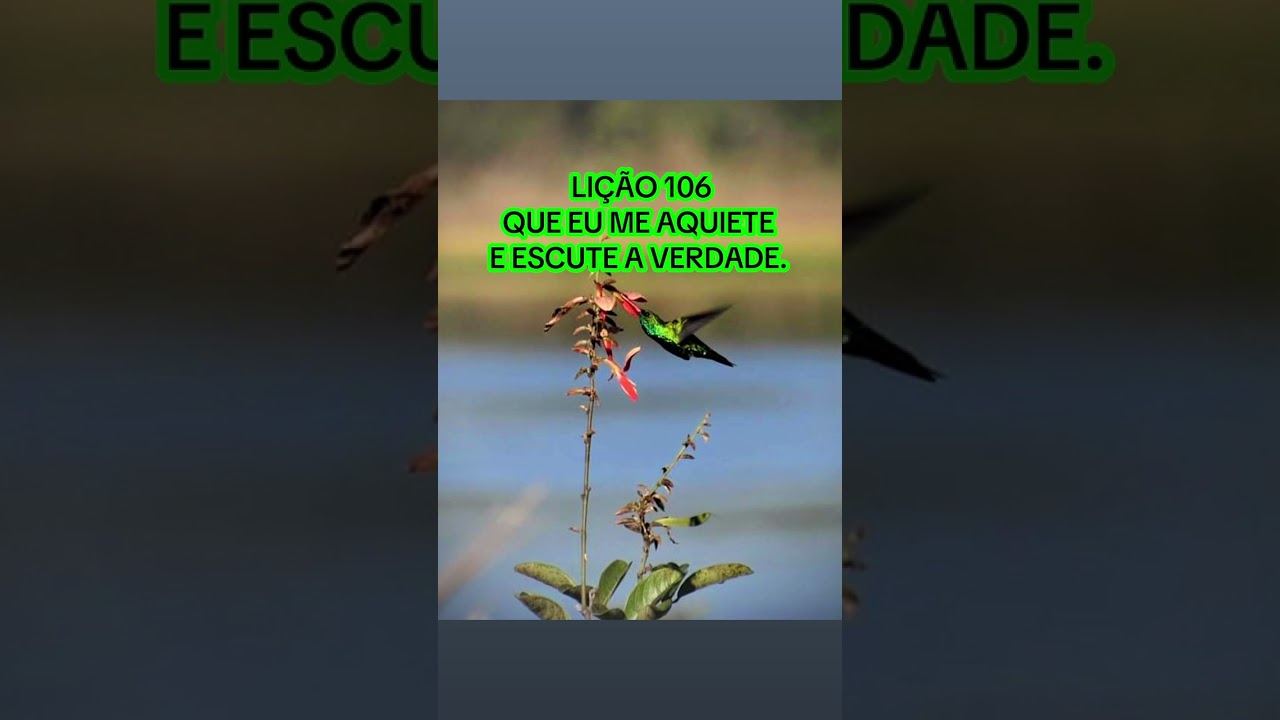 Um Curso em Milagres