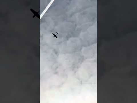 Lazer | Loop with single roll