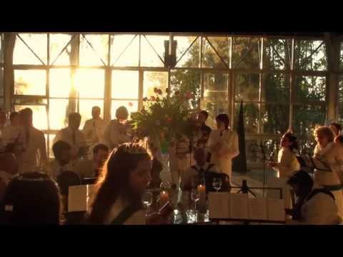 SOU FILHO DA TERRA - FLOR DE JAGUBE - SÃO JOÃO 2014