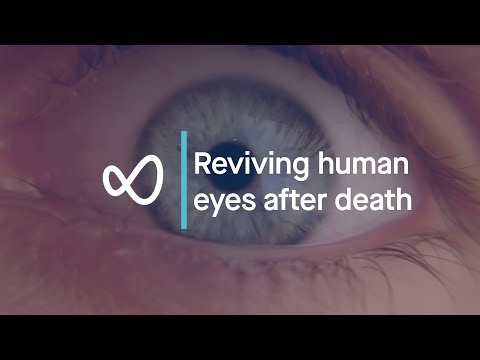 Light after death: scientists revive human eyes