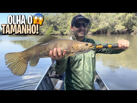 PESCARIA DE TRAIRÃO NO MATO GROSSO! Foi Pancada Atrás de Pancada