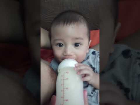 ชะลอ arifon ไม่ว่าจะเป็นผลกระทบแรง เป็นสมาชิกของ rozmiru ขนาดเล็ก