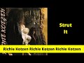 Richie Kotzen Richie Kotzen Strut It