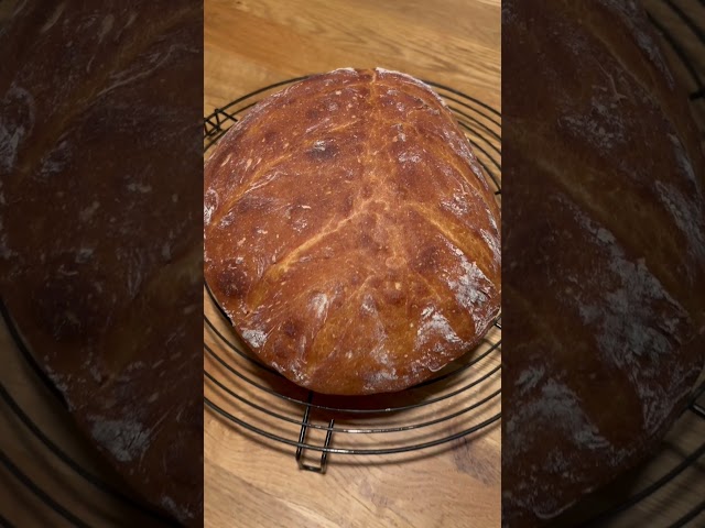 Vidéo teaser pour Gorenje Küchenmaschine Test: Dein vielseitiger Küchenhelfer im Test von Bianca