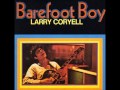 Larry Coryell - The Great Escape