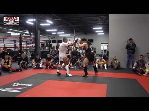 Saenchai sparring in Canada "It's not a Fight!" - YOKKAO Seminar Toronto