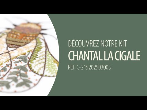 Voir la vidéo