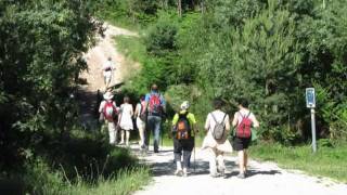 preview picture of video 'Camino de Santiago, Etapa 11 Villambistia-Atapuerca.mpg'
