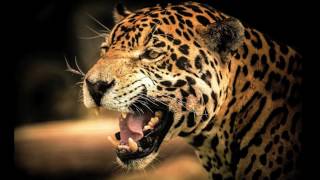 SBTRKT - New Dorp. New York --- Original Mix --- HQ