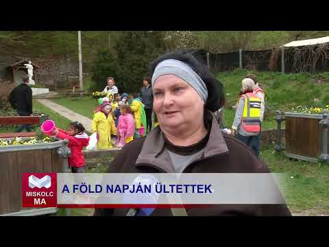Videó előnézet