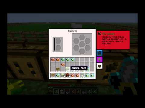 Bee University - Episode 2 - Starting on the Common Branch