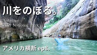 川の中を歩く国立公園トレイル　|     念願のアンテロープとザイオンのThe Narrowsの川のぼり【アメリカ横断ep.8】