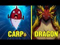 He Was A Useless Fish Until He Evolved Into The Strongest Dragon