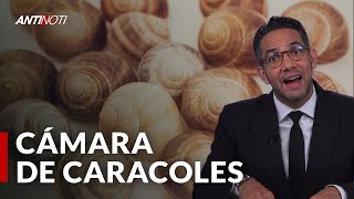 Allanan La Cámara De Cuentas [PEPCA] | Antinoti