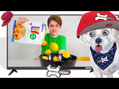 Dangerously Punny - Puns Video! Shiloh and Bros Reaction!