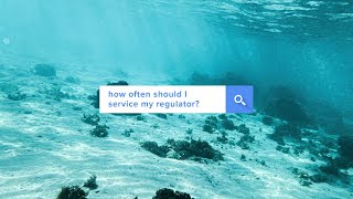 How often should I service my regulator? | Answered | @simplyscuba