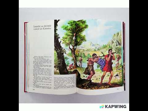 Vintage 1977 Illustrated Children’s Bible Foreign Slovak Language HC Testaments