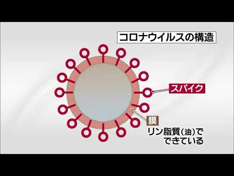 コロナウイルスの影響を過小評価しないでください: 病原体はあなたの心の中に残ります