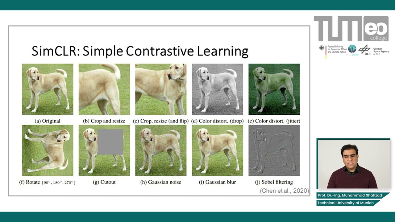 Self-Supervised Learning - Contrastive Representation Learning