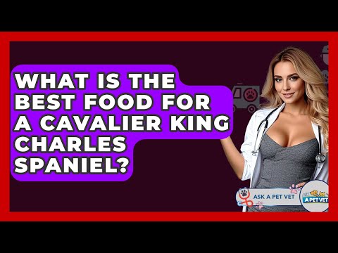 What Is The Best Food For A Cavalier King Charles Spaniel? - Ask A Pet Vet
