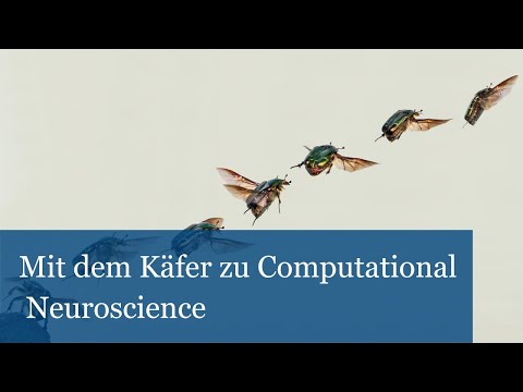 Mit dem Käfer zu Computational Neuroscience: Ein Neuanfang der Forschung nach dem Krieg
