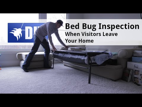  Bed Bug Prevention Step 4 Video 