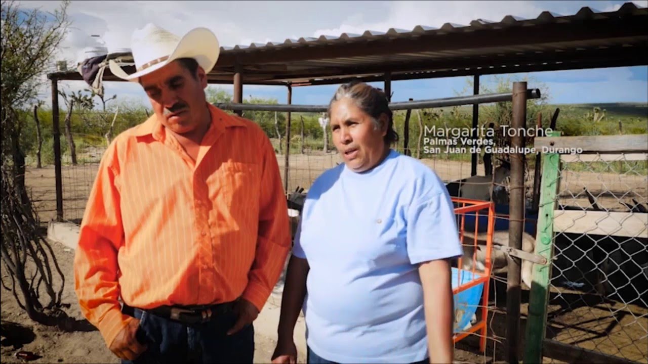 Agua y suelo para la seguridad alimentaria