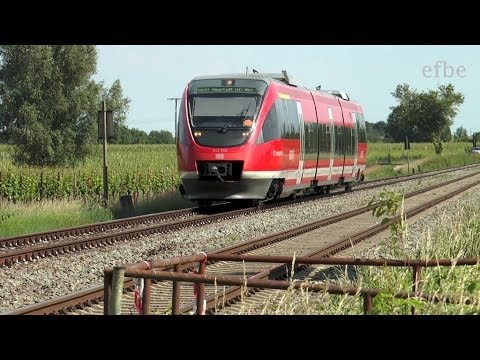 Züge mit BR643 auf der Strecke Neustadt/Weinstrasse - Landau (31.05.14)
