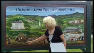 preview picture of video 'Keep Pickens Beautiful Marble Hill Mural Unveiling'