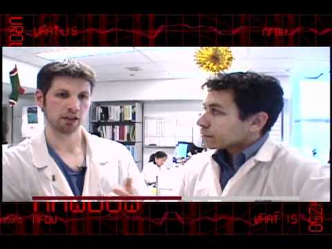 什么是泌尿外科 - 泌尿外科范围