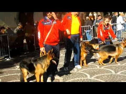 Lo sport gratificante per la potenza Quali sono i sintomi di impotenza