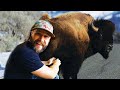 Buffalo Milk Let S Find Out