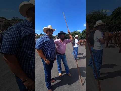 Entrevista com Maicon, carreiro de Ipuiúna-MG